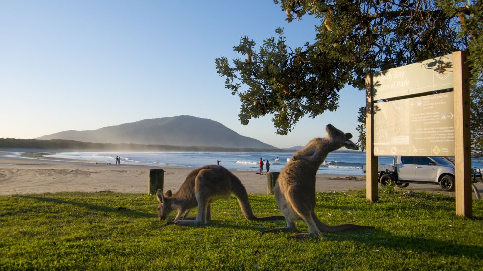 Diamond Head Campground - Crowdy Bay National Park - North Coast 